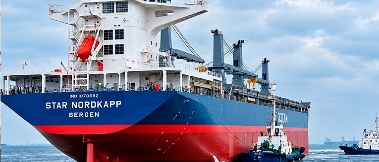 Suzano embarca volume recorde de celulose em um único navio no Porto de Santos (SP)