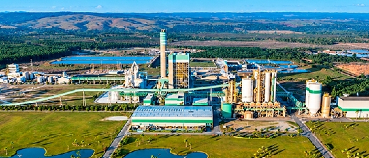 Veracel registra maior produção mensal de celulose de sua história