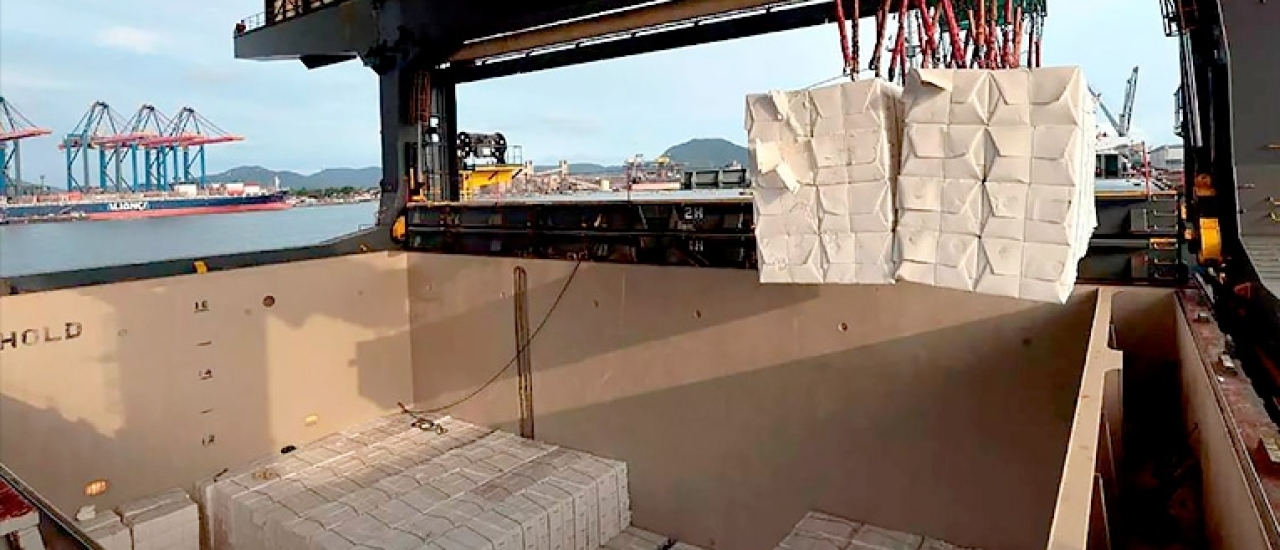 Terminal da Eldorado Brasil no Porto de Santos supera 2,35 milhões de toneladas de celulose embarcadas em três anos