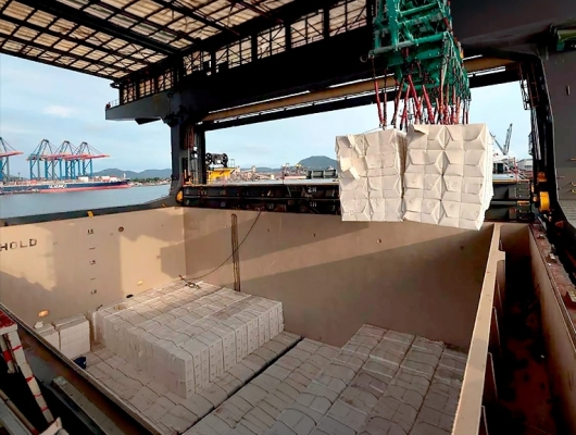 Clique para ver a notícia completa Terminal da Eldorado Brasil no Porto de Santos supera 2,35 milhões de toneladas de celulose embarcadas em três anos