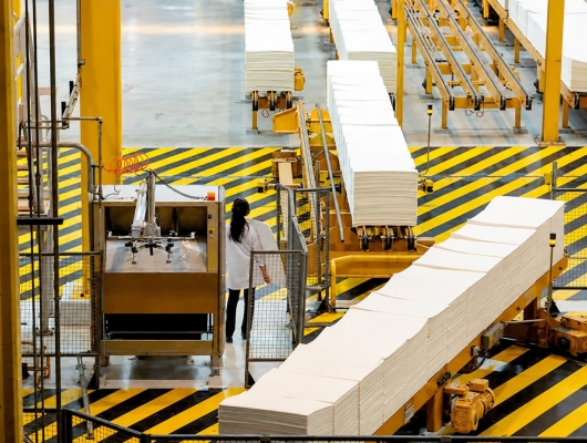 Clique para ver a notícia completa Mercado de papel e celulose da sinais de estabilização e melhora perspectivas para Klabin e Suzano