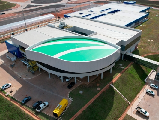 Clique para ver a notícia completa Suzano mantém estratégia de diversificação e avalia integração futura com a Arbex