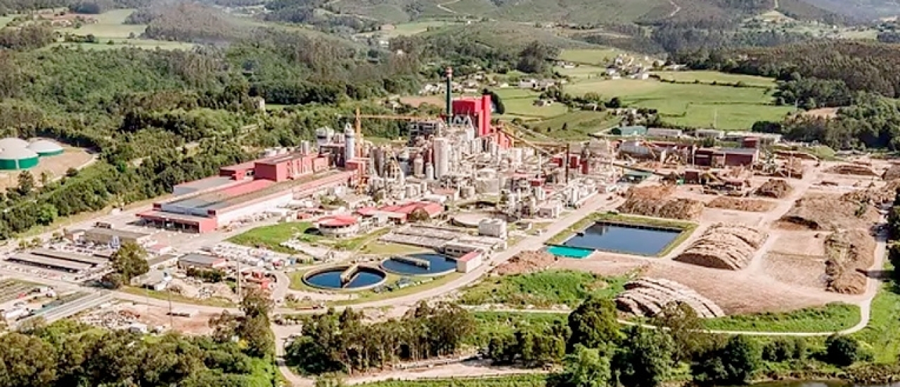 Ence registra lucro no segundo trimestre de 2026 com recuperação do mercado de celulose