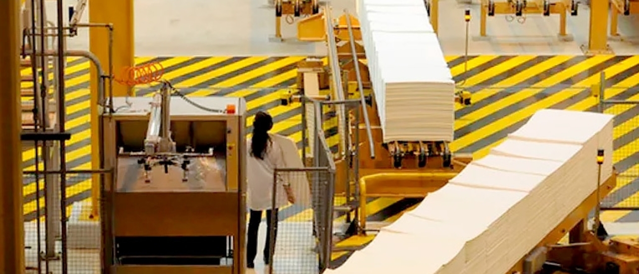 Eficiência operacional cresce na indústria de celulose com apoio de novas tecnologias