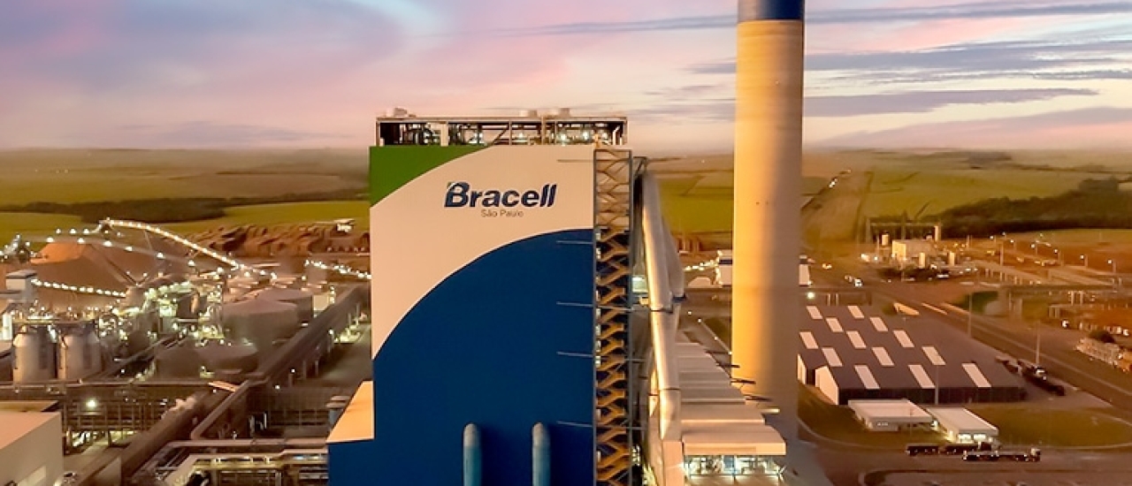 Relatório de Sustentabilidade da Bracell é reconhecido entre os melhores do Brasil