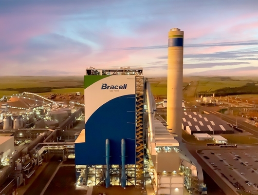 Clique para ver a notícia completa Relatório de Sustentabilidade da Bracell é reconhecido entre os melhores do Brasil