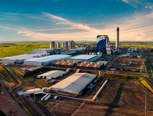 Clique para ver a notícia completa Bracell reduz em 47 por cento emissões de carbono por tonelada de celulose desde 2020