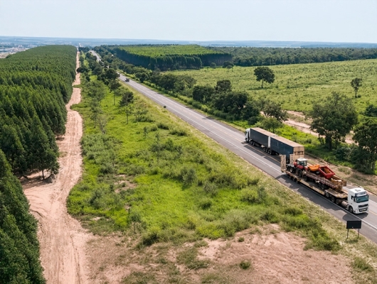 Clique para ver a notícia completa TJMS valida licitação da Rota da Celulose e mantém contrato com a XP Infra